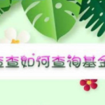 我来教你企查查基金会如何查询。