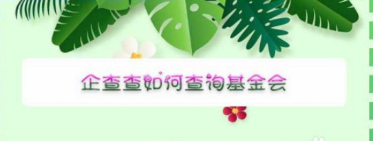 我来教你企查查基金会如何查询。