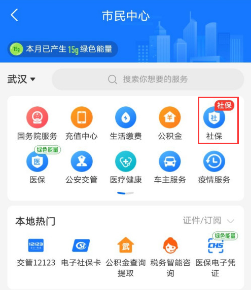 怎么用支付宝查询生育保险缴费记录