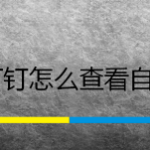 我来教你钉钉在哪查看勋章。