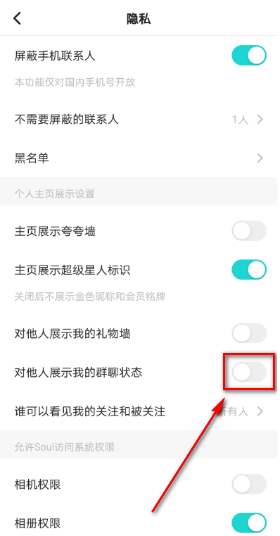 soul怎么展示我的群聊状态