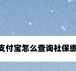 教你支付宝社保缴费记录怎么看。