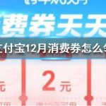 关于支付宝12月消费券怎么得。