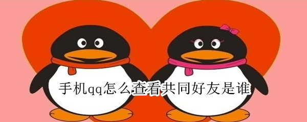 小编分享qq共同好友怎么看。