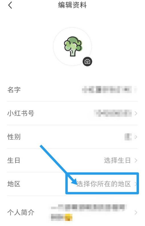 小红书资料怎么显示地区