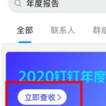 分享2020钉钉年度报告怎么看。