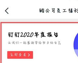 2020钉钉年度报告怎么看