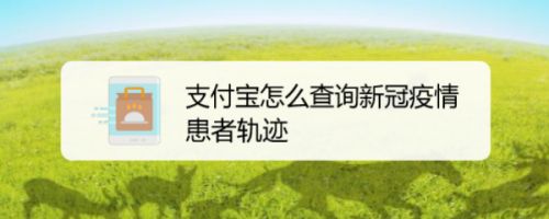 教你支付宝查询新冠确诊患者轨迹怎么看。