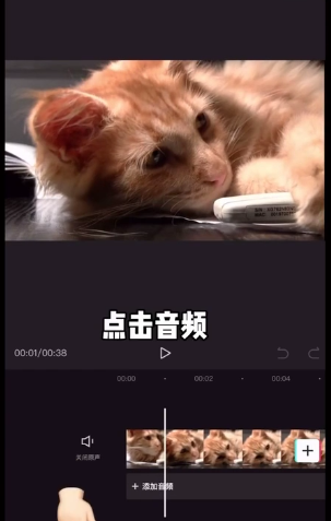 剪映抖音常用综艺音效在哪里