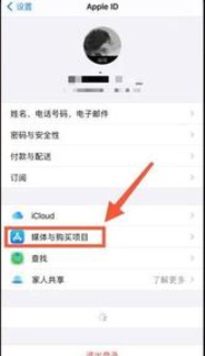 iphone允许app请求跟踪打不开解决方法分享