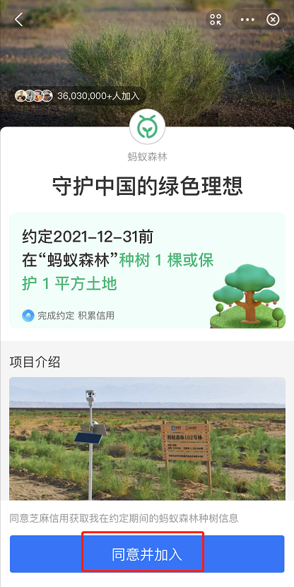 支付宝种树约定在哪参与